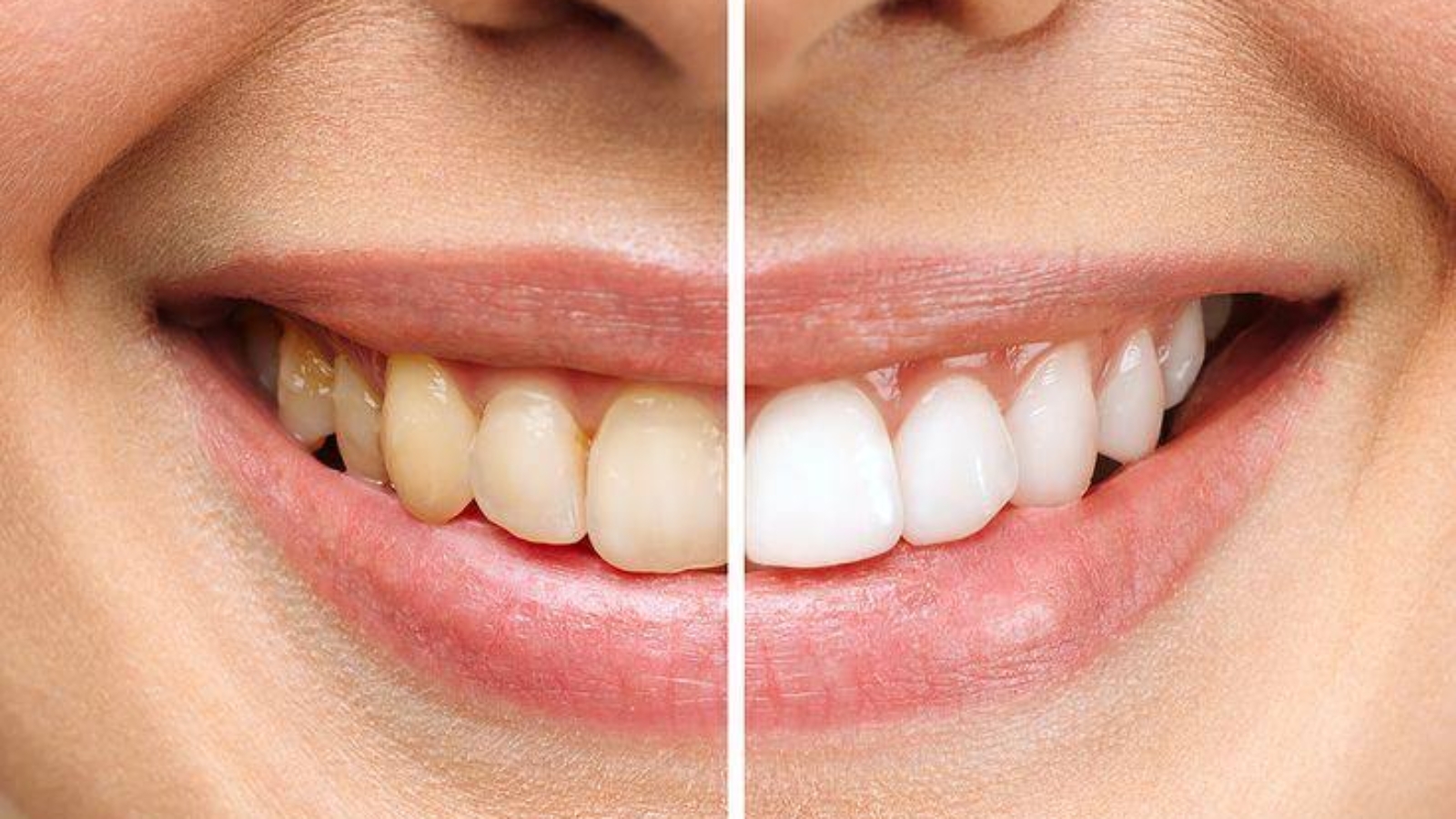 photo_2025-11-07_12-22-03