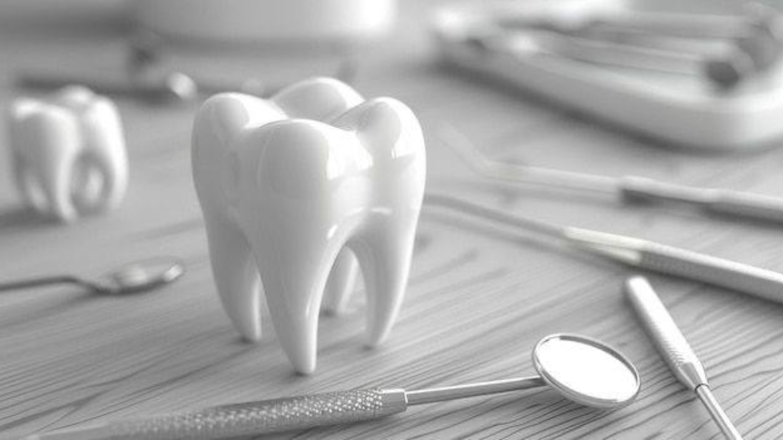 photo_2025-11-07_12-45-22