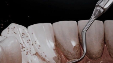 photo_2025-11-07_15-27-39