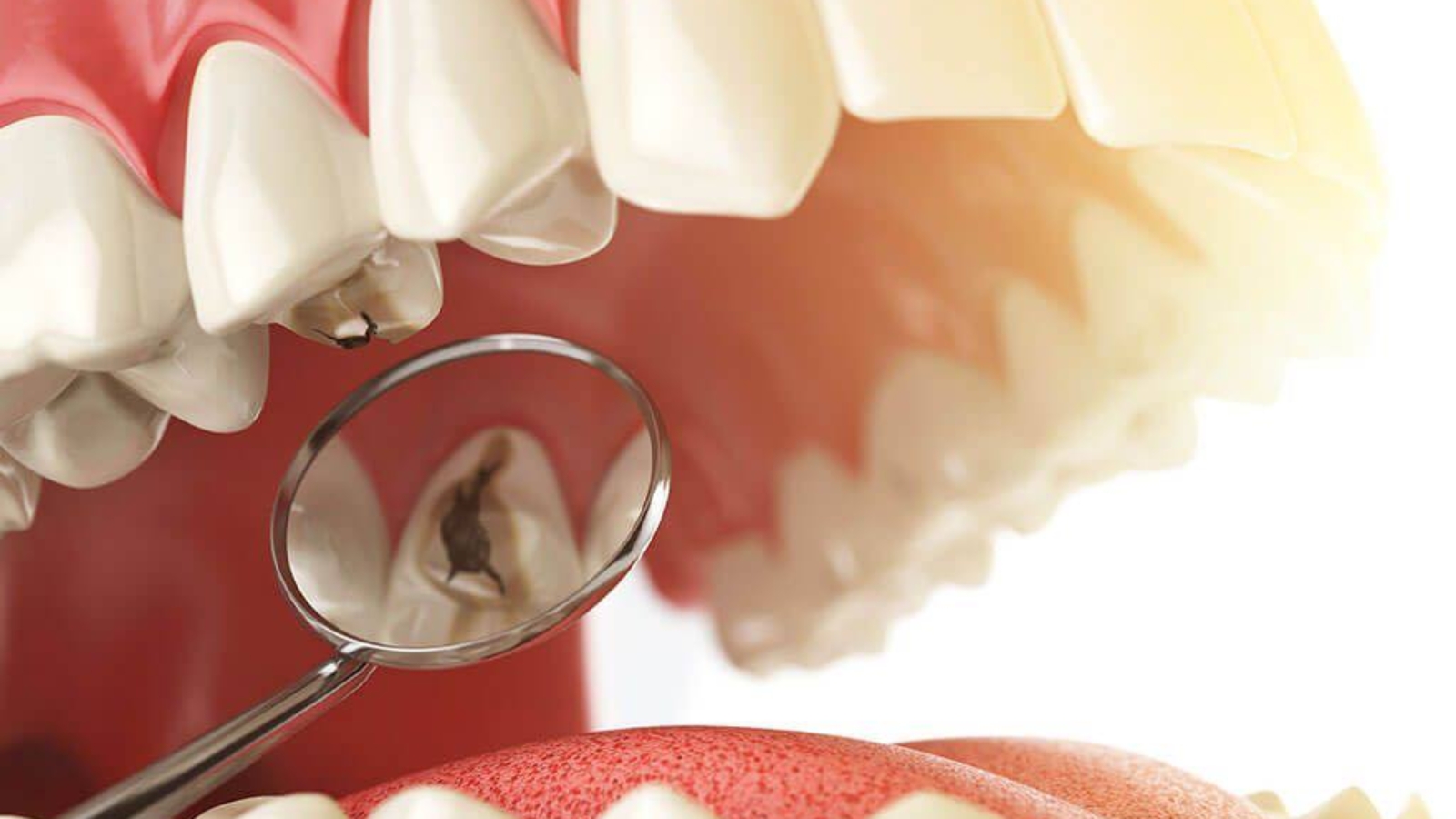 photo_2025-11-11_14-43-29