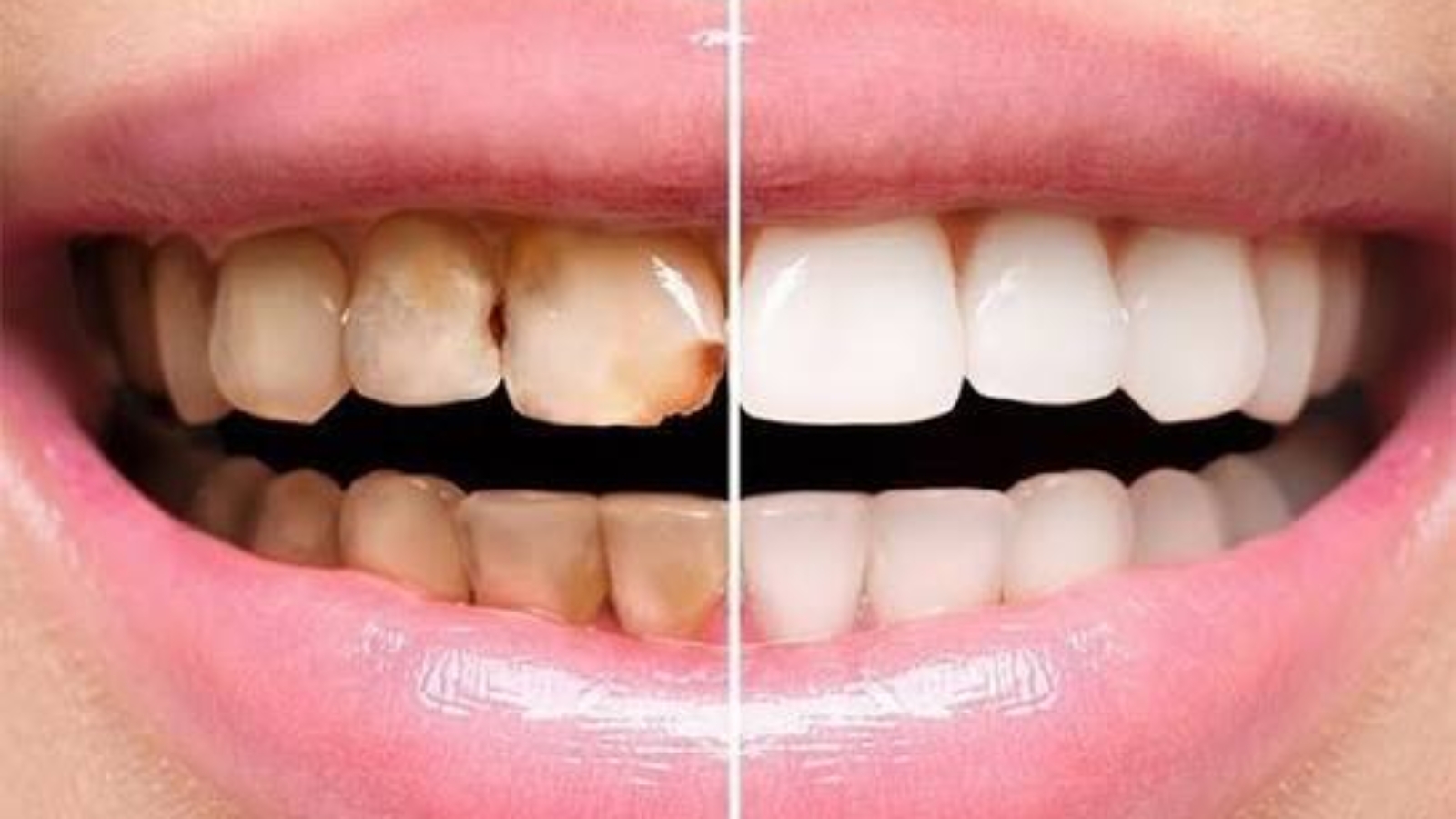 photo_2025-11-12_17-39-07