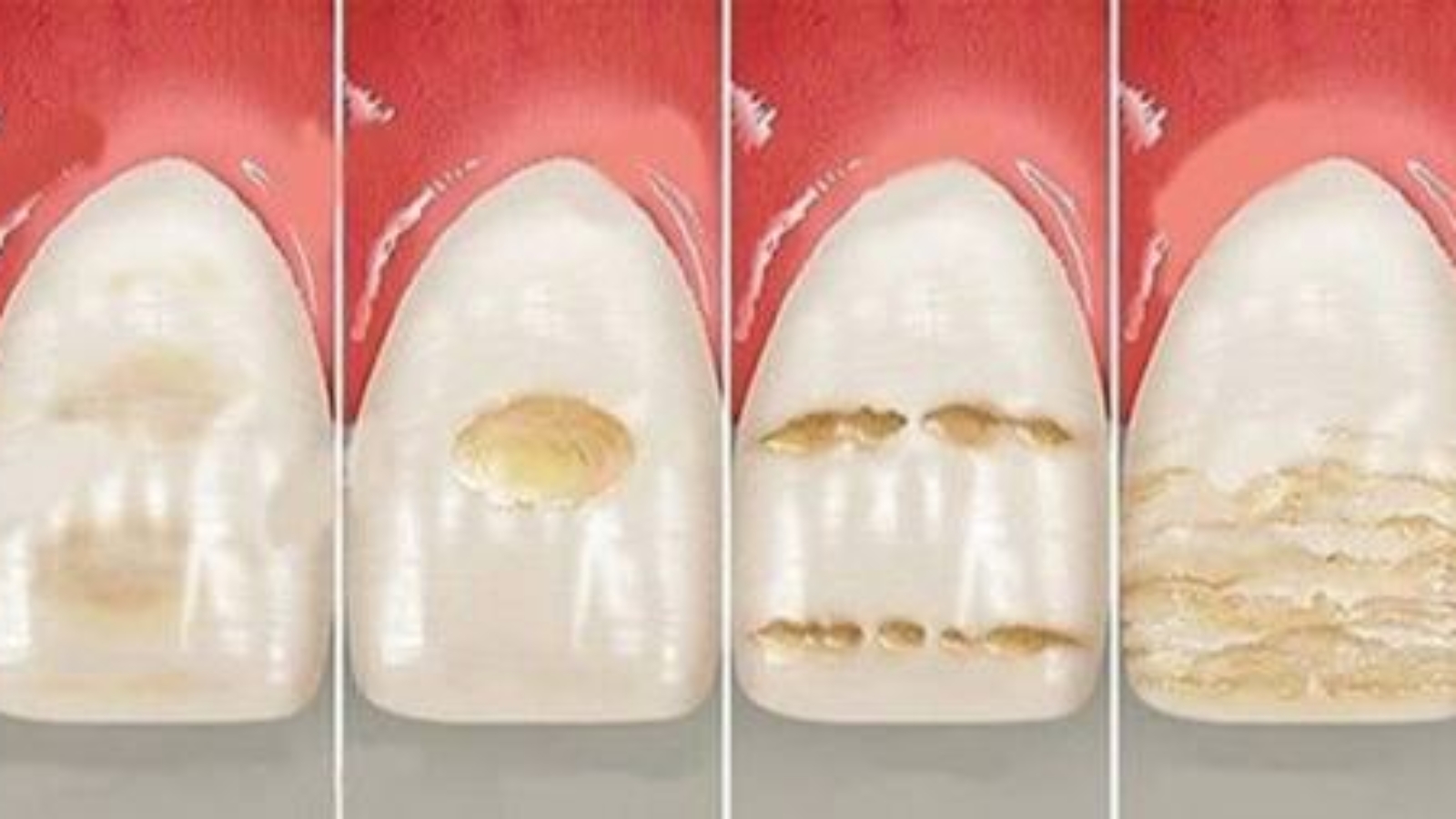 photo_2025-11-17_14-52-47