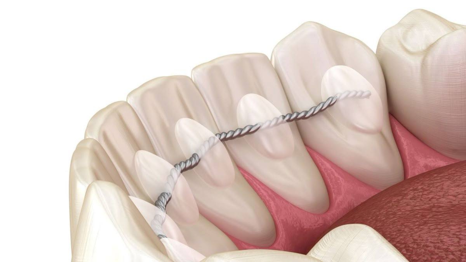 photo_2025-11-17_14-56-23