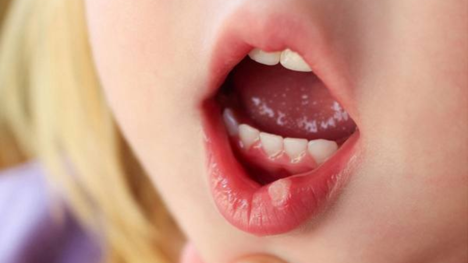 photo_2025-11-17_14-58-33