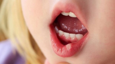 photo_2025-11-17_14-58-33