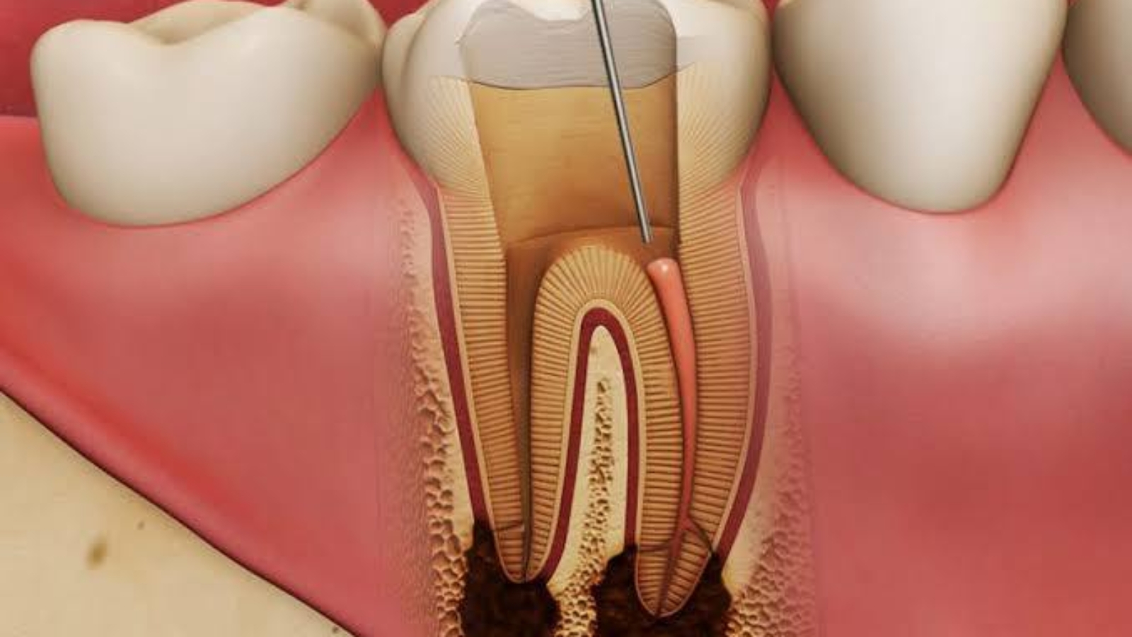 photo_2025-11-19_12-55-33