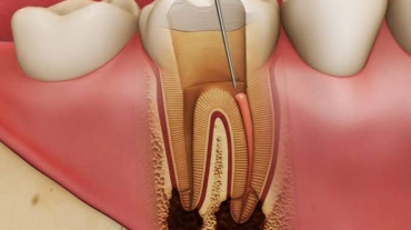 photo_2025-11-19_12-55-33