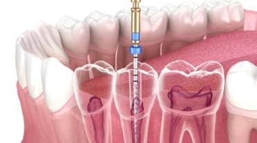 photo_2025-11-20_11-59-12