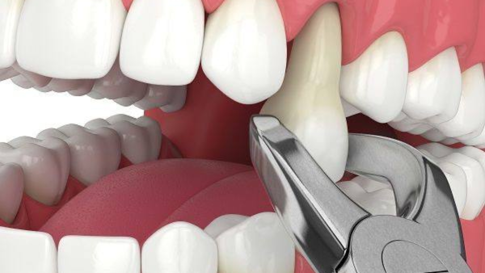 photo_2025-11-21_14-51-26