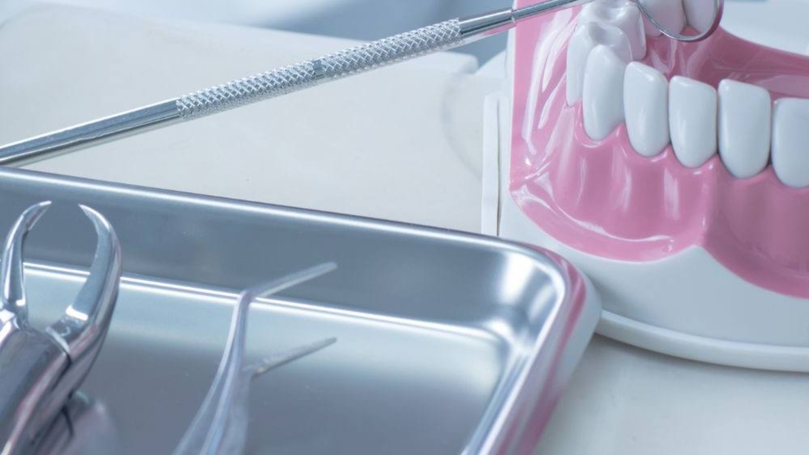 photo_2025-11-21_15-00-05