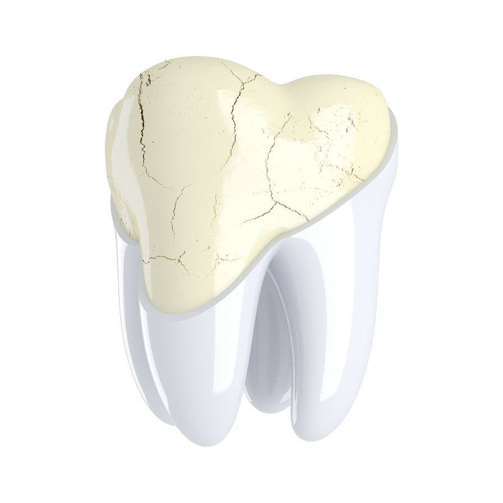 photo_2025-11-21_15-02-32