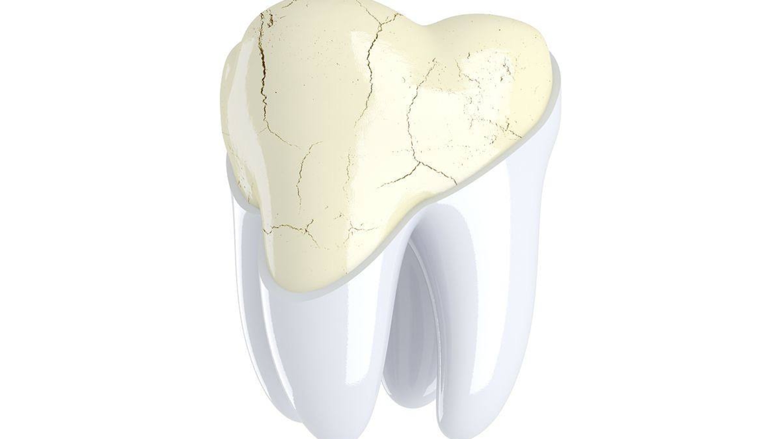 photo_2025-11-21_15-02-32