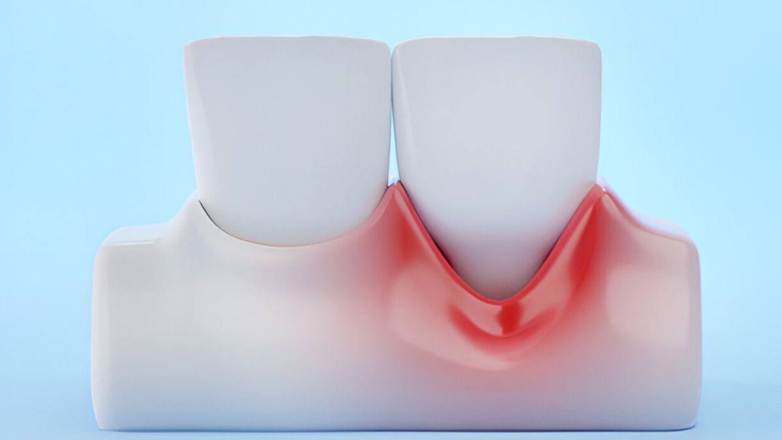 photo_2025-11-25_14-54-01