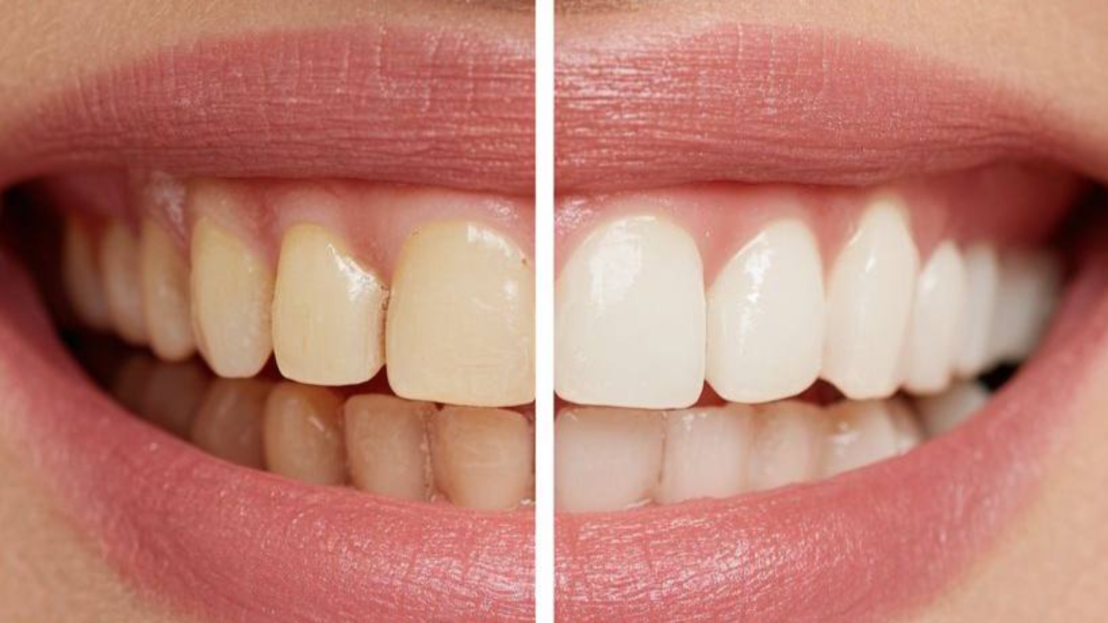 photo_2025-11-25_14-58-02