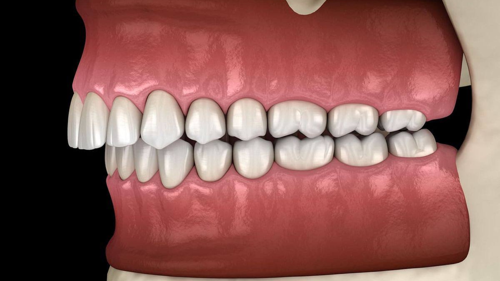 photo_2025-11-26_15-01-40