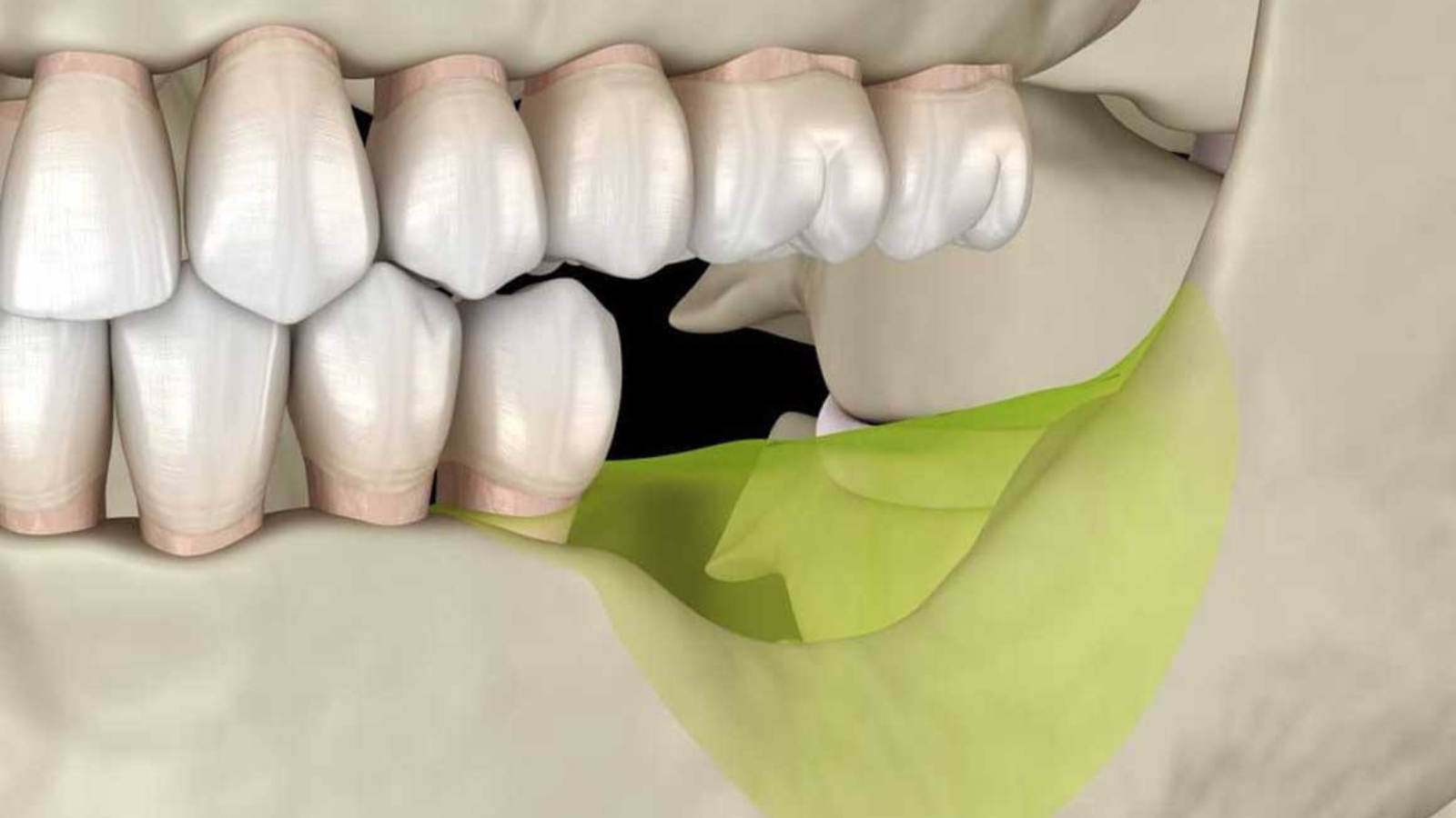 photo_2025-11-27_11-34-37