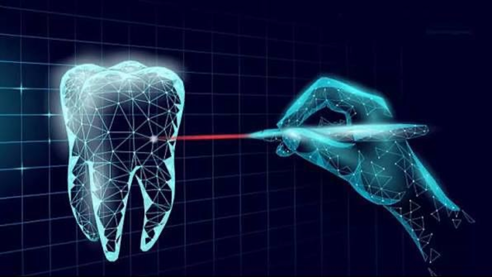 photo_2025-11-27_11-37-03