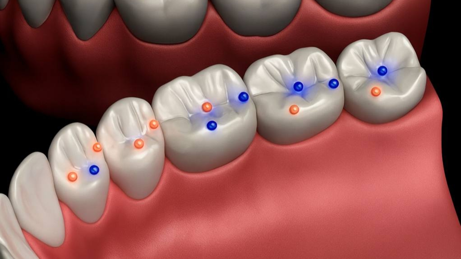 photo_2025-11-28_14-51-09