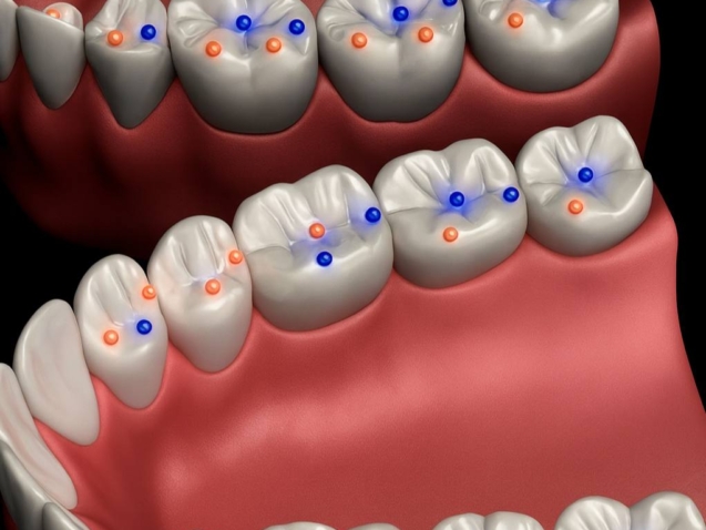 photo_2025-11-28_14-51-09