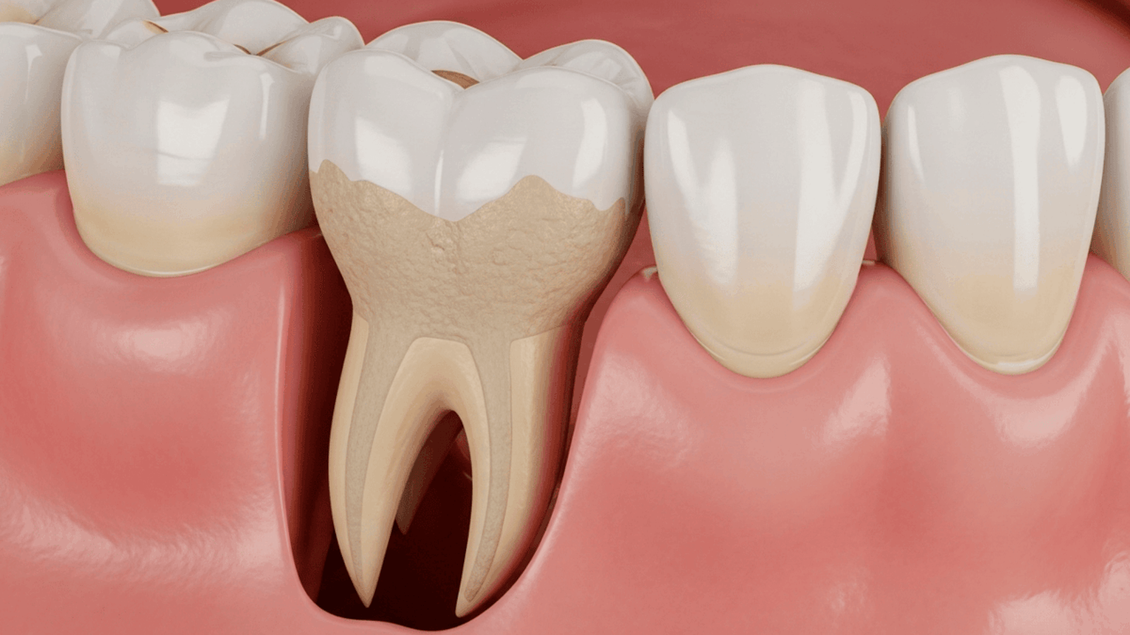 GeminiObnazhennyy-ko