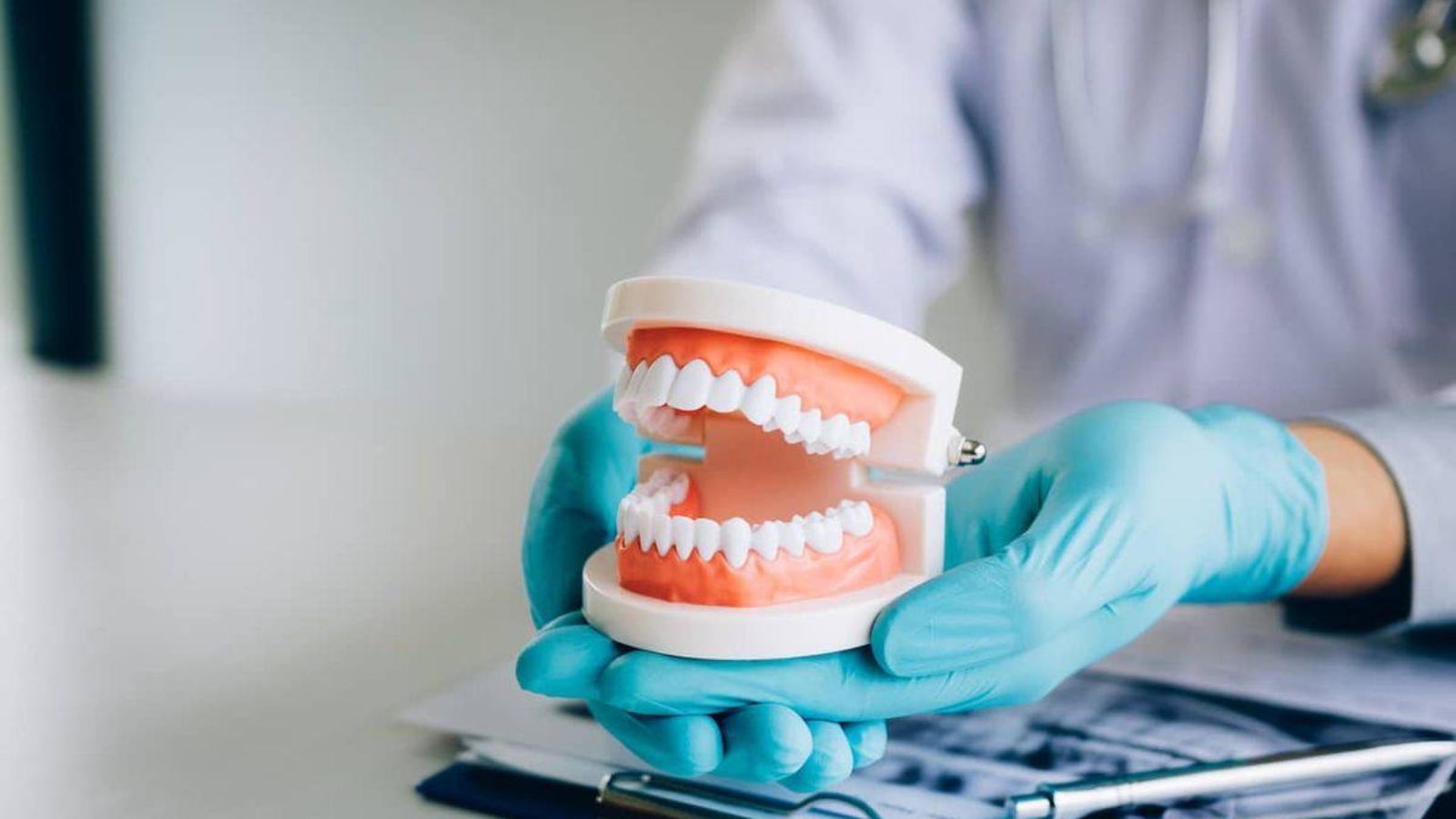 photo_2025-12-01_13-47-18