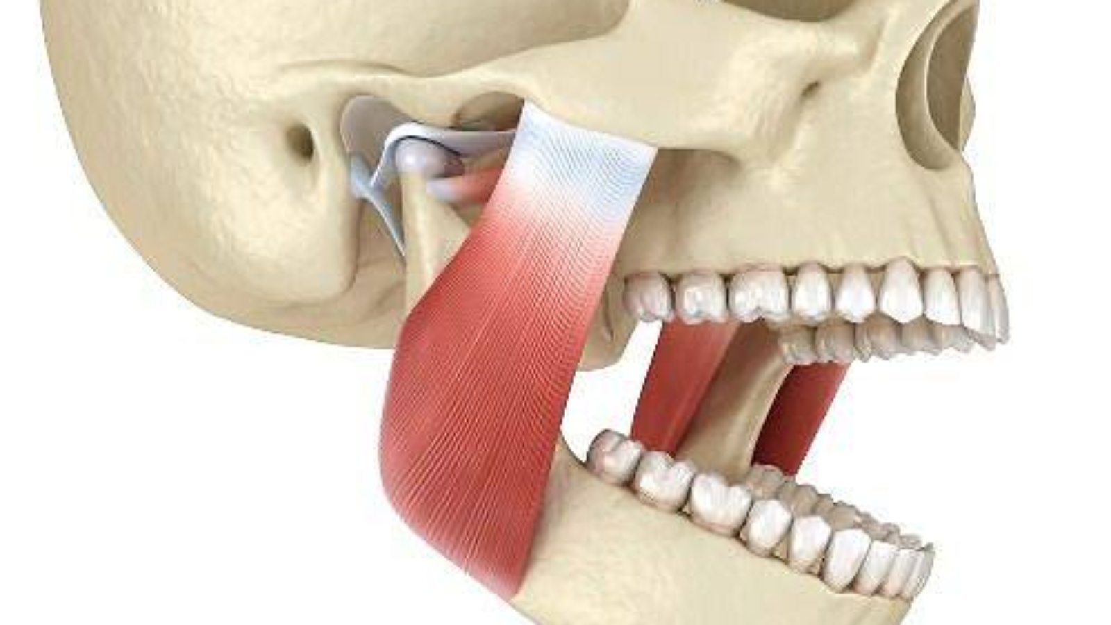 photo_2025-12-01_13-52-06