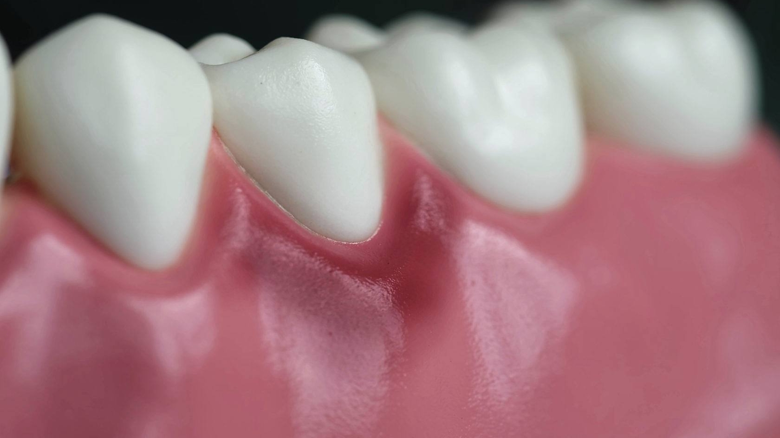 photo_2025-12-02_13-51-28