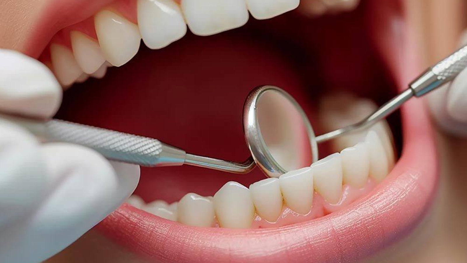 photo_2025-12-04_13-47-46