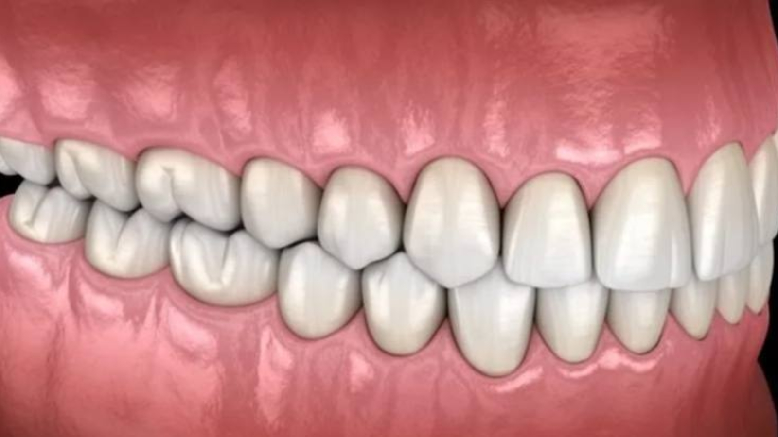 photo_2025-12-15_17-40-18