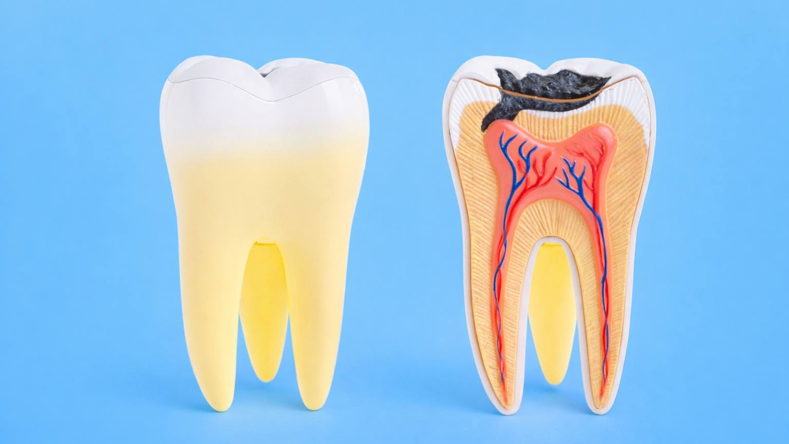 photo_2025-12-16_16-06-13