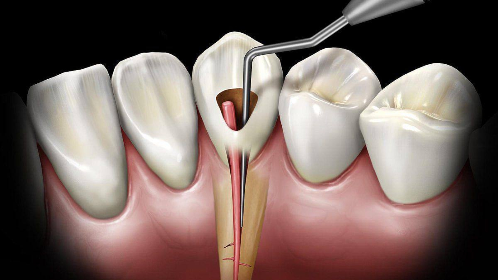 photo_2025-12-25_10-46-19