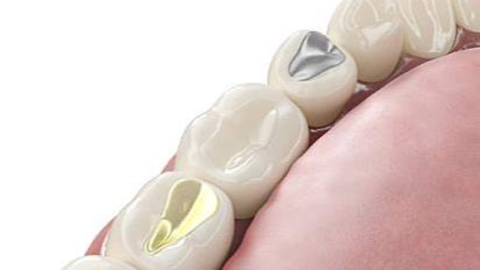 photo_2025-12-25_10-48-56