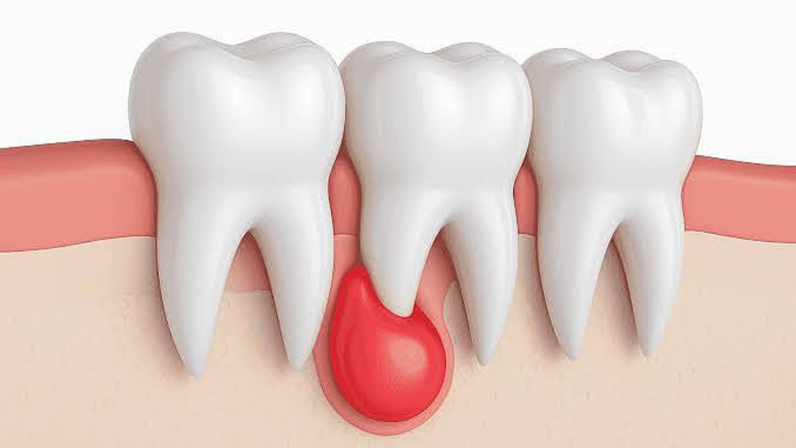 photo_2025-12-25_10-51-50