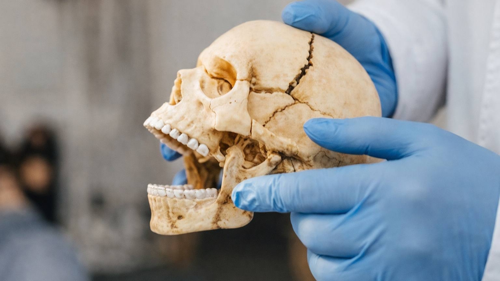 photo_2025-12-26_15-48-49