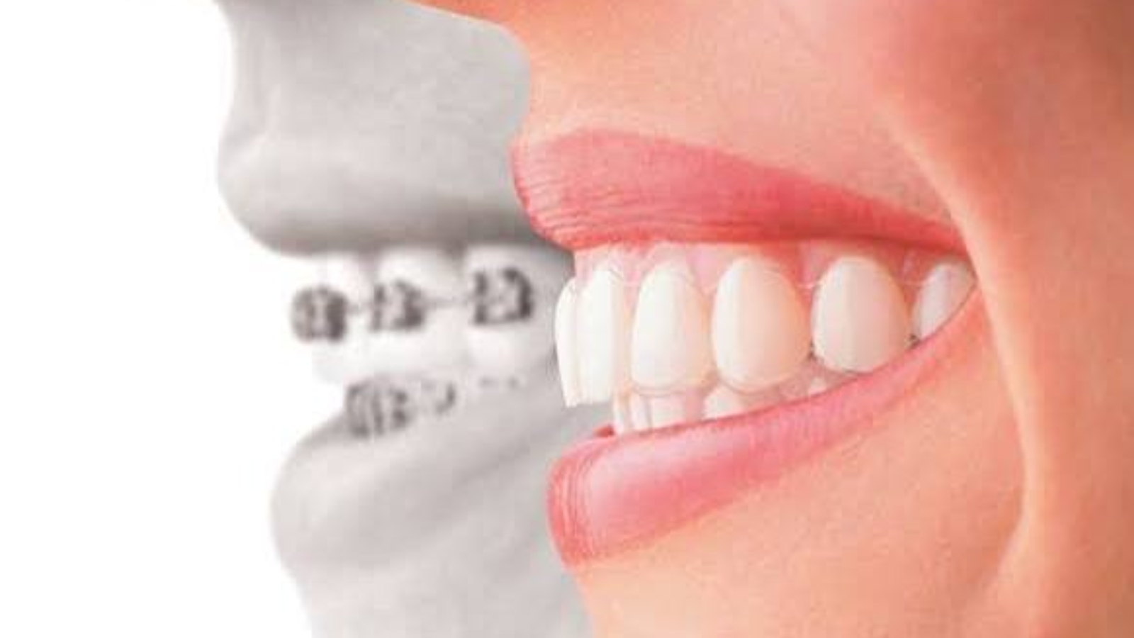 photo_2025-12-26_15-52-53