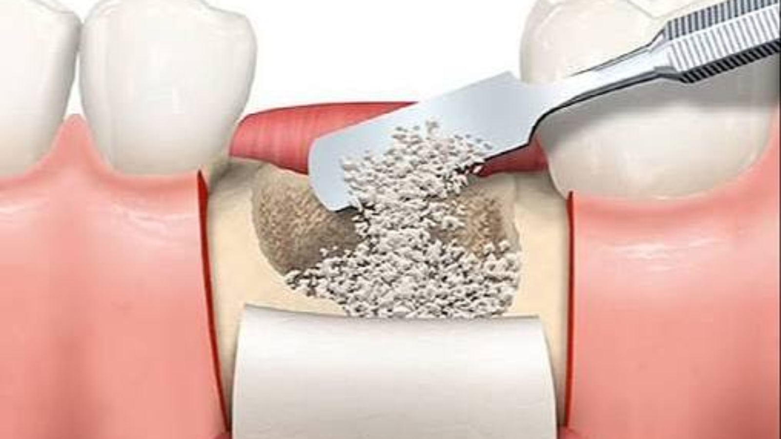 photo_2025-12-26_15-53-01