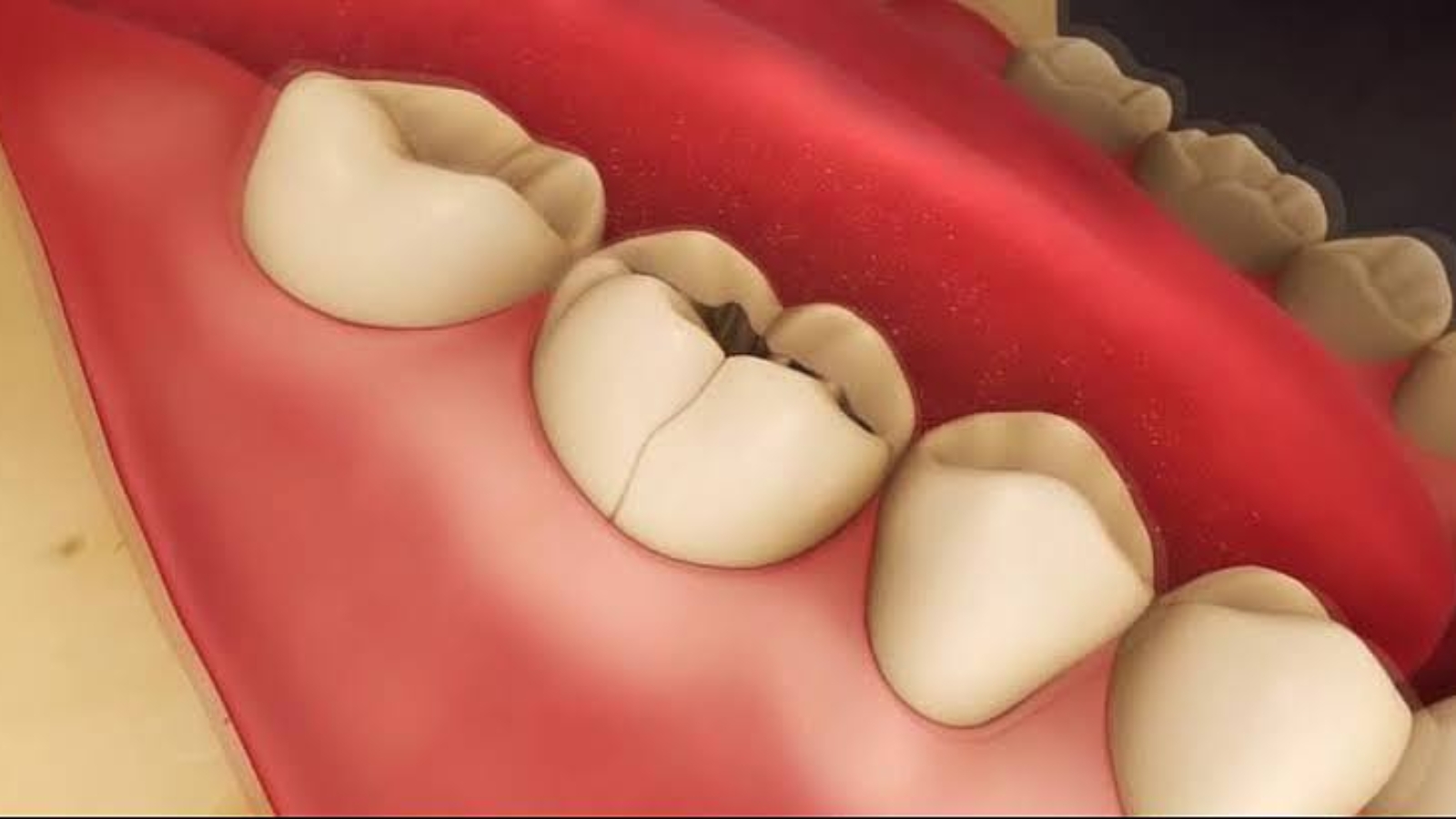 photo_2025-12-29_11-58-52