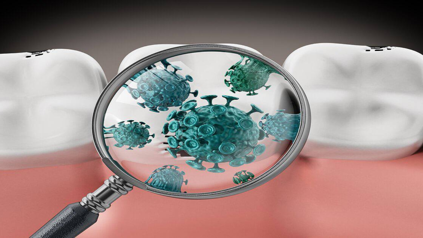 photo_2025-12-30_11-05-38