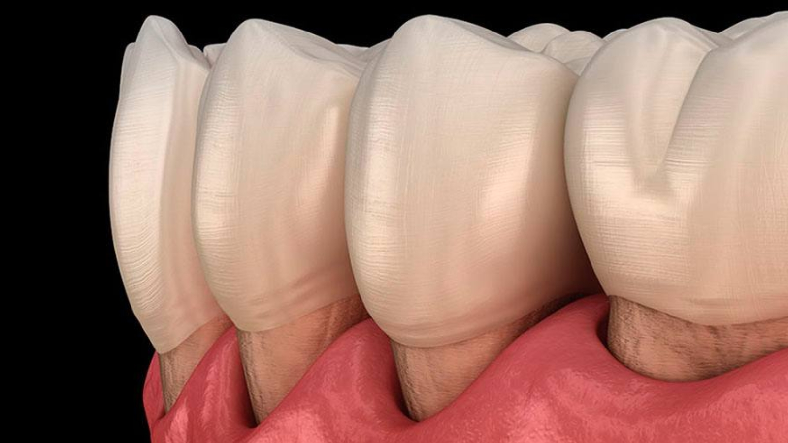 photo_2025-12-30_11-05-44