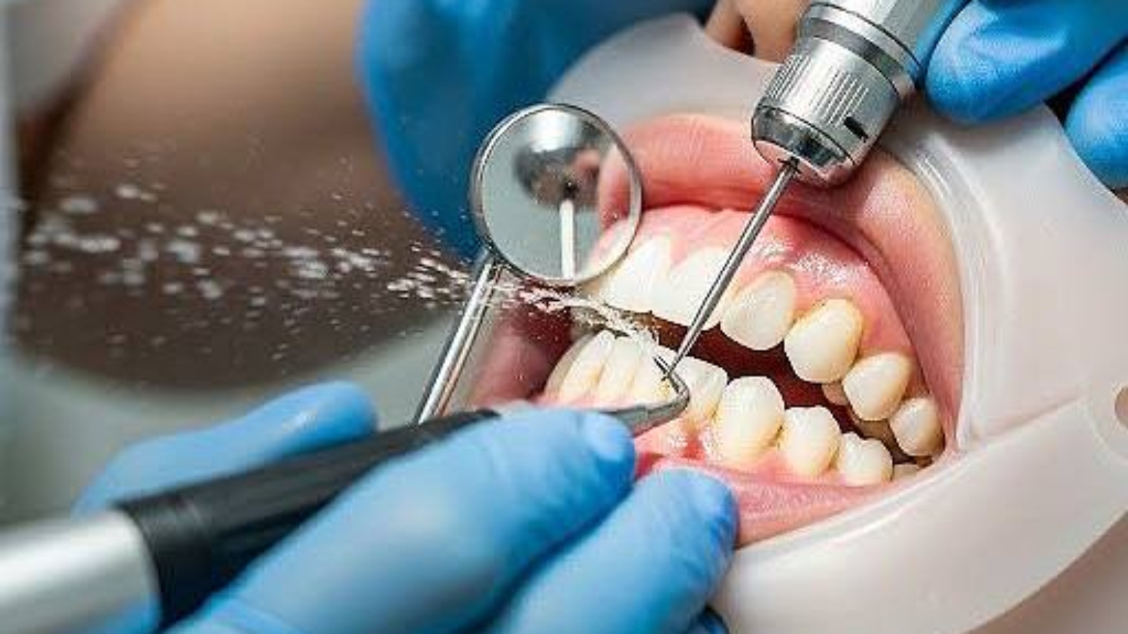 photo_2025-12-31_11-51-46