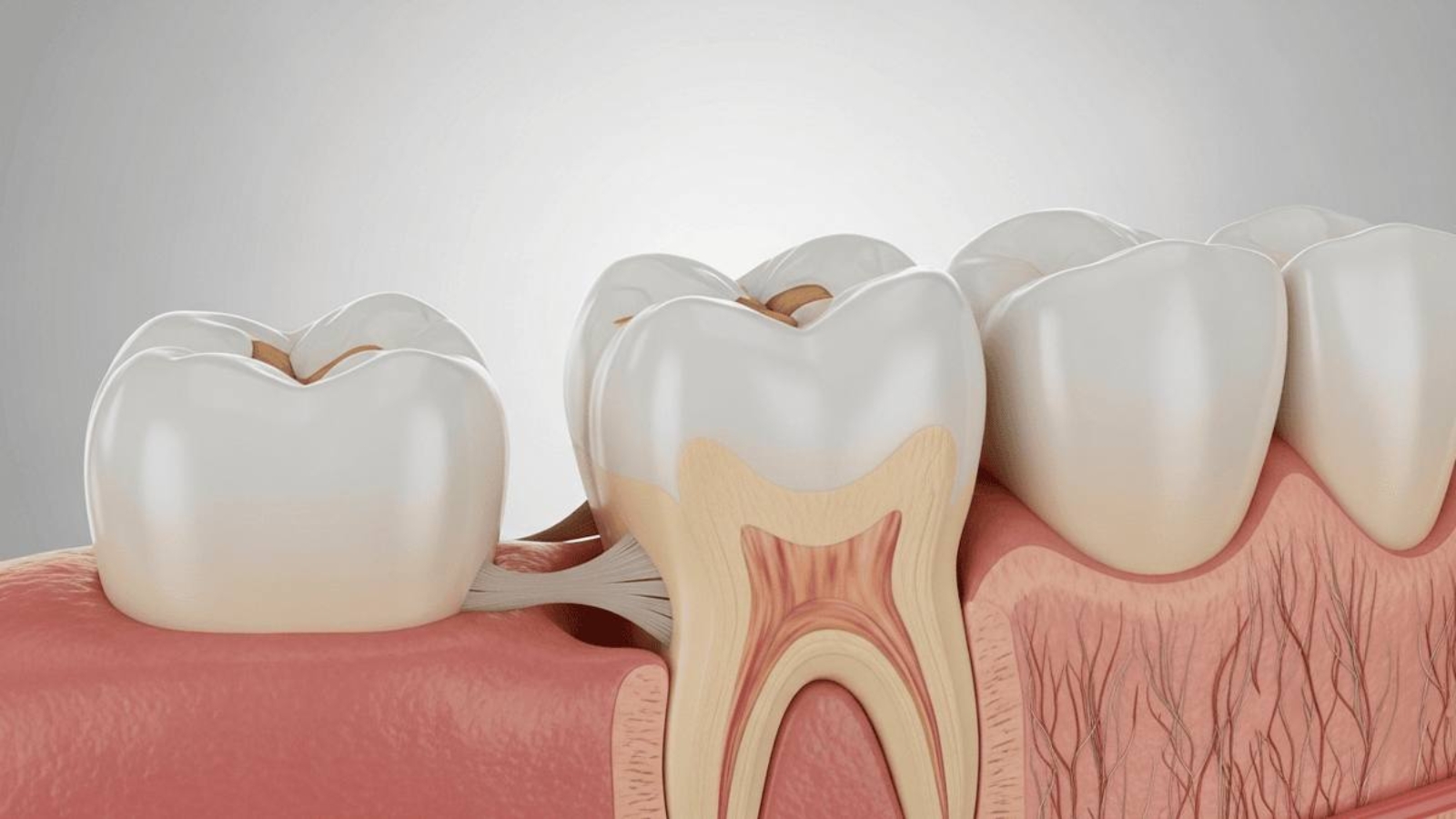 photo_2026-01-05_13-10-43