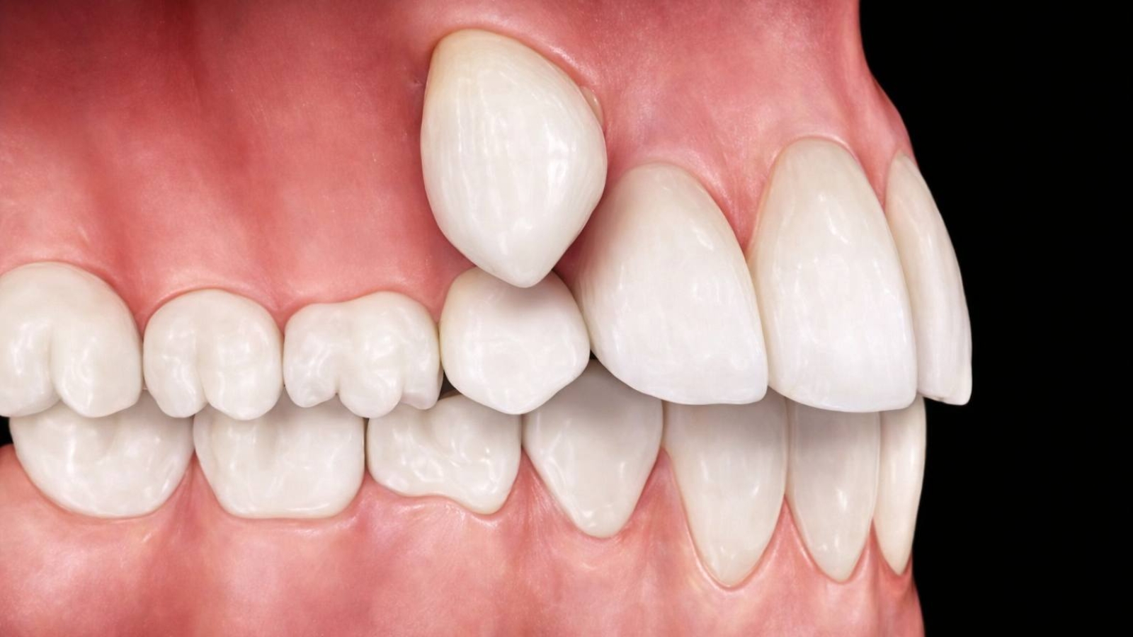 photo_2026-01-05_13-14-43