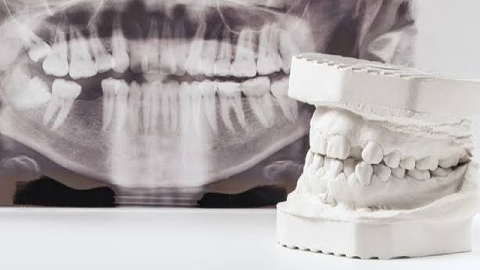 photo_2026-01-09_14-22-20