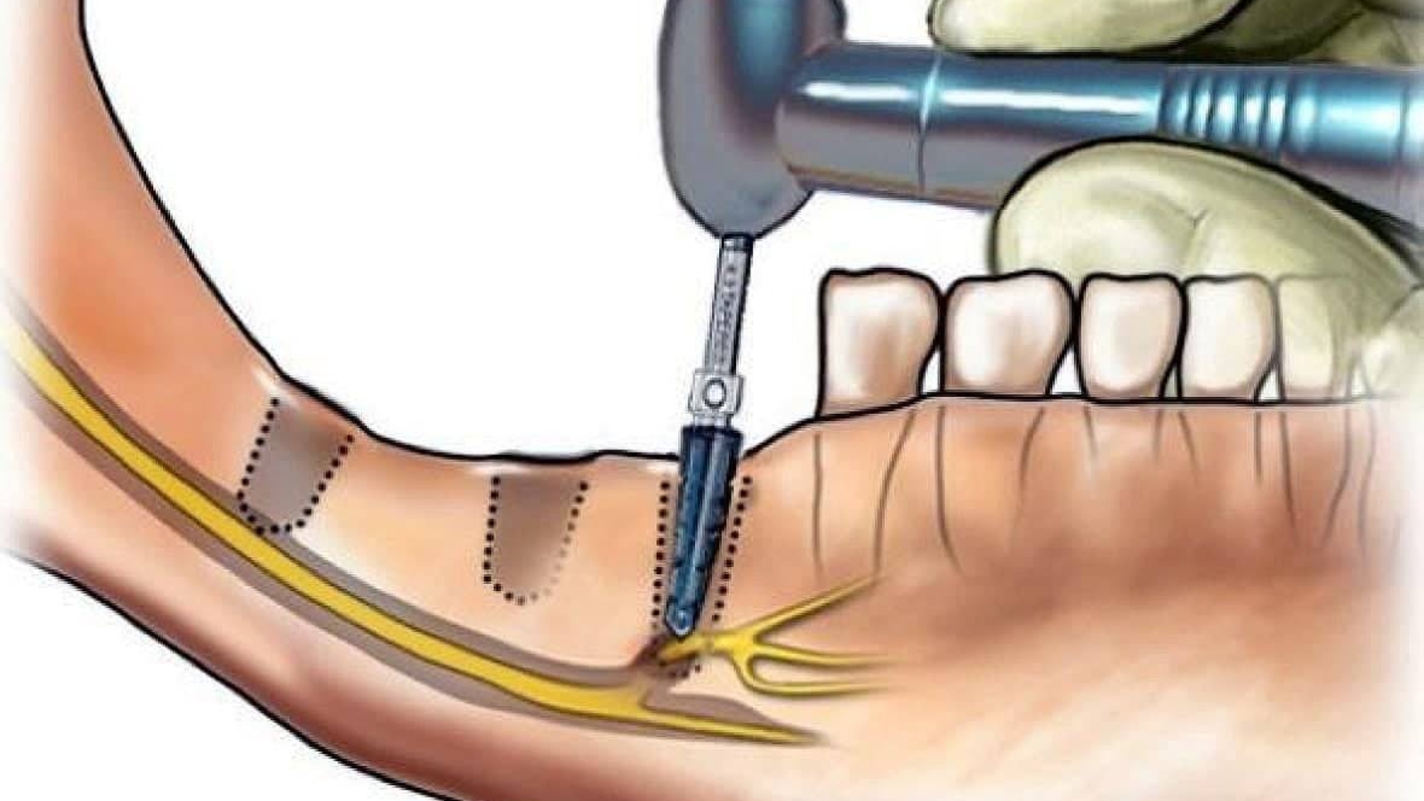 photo_2026-01-12_14-12-25