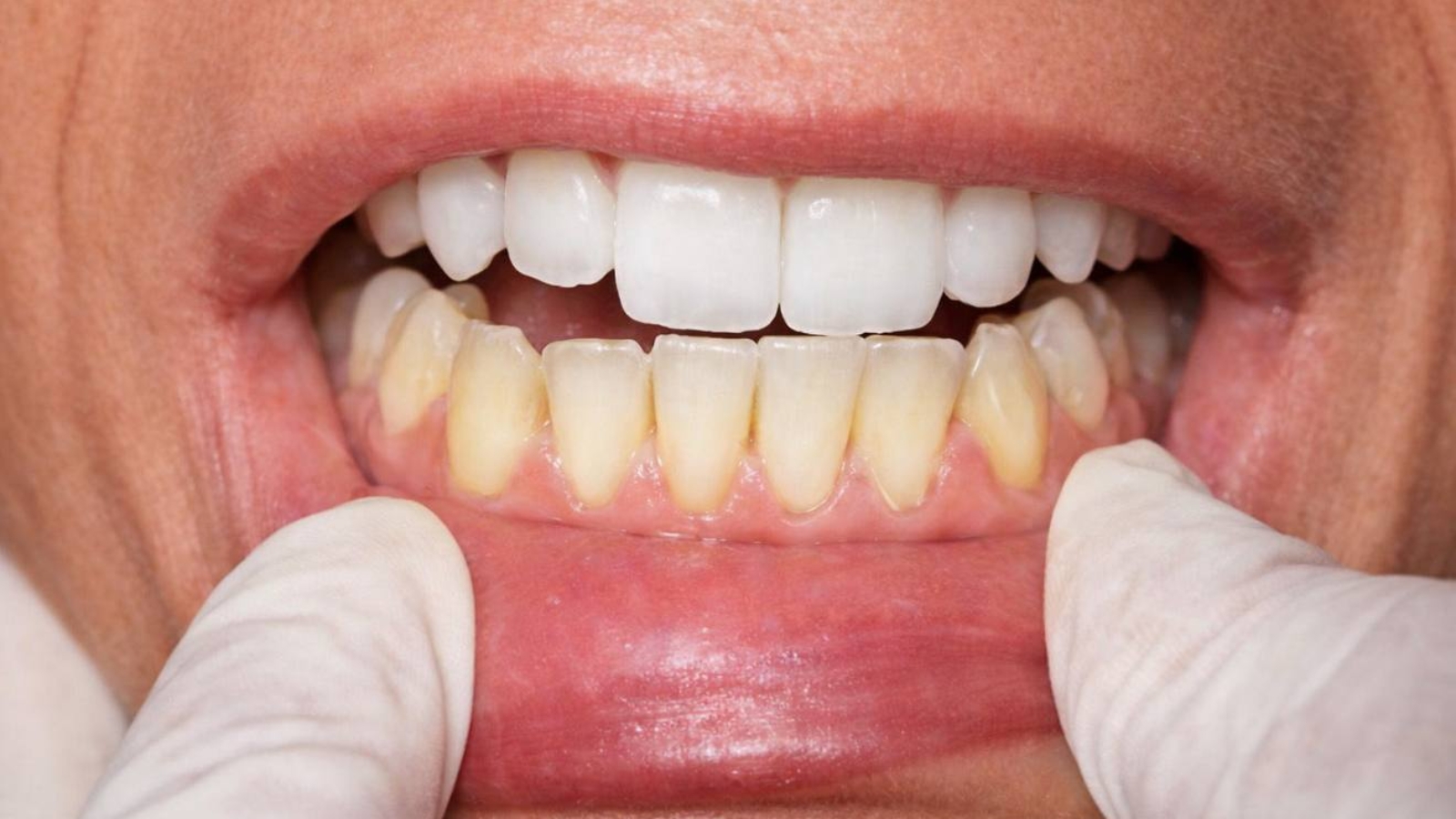 photo_2026-01-14_12-58-46