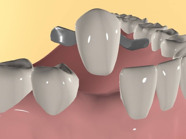 photo_2026-01-15_14-53-34