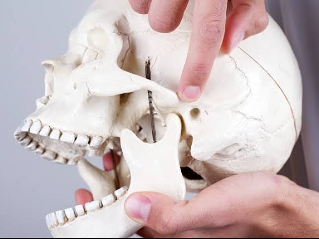 photo_2026-01-15_14-53-55