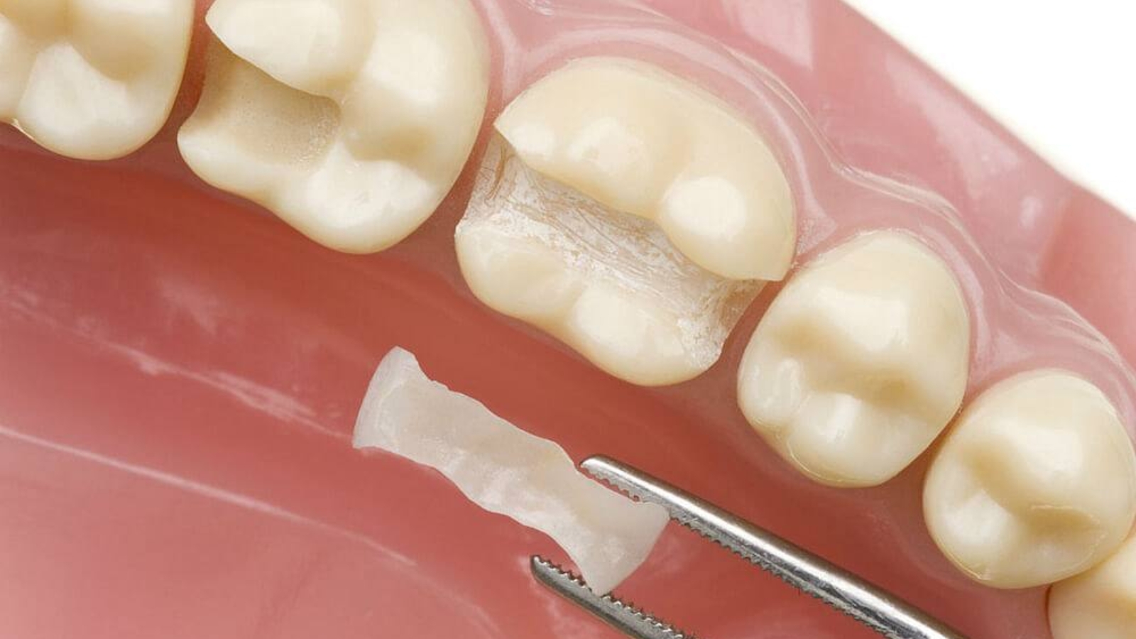 photo_2026-01-15_14-54-01