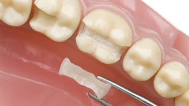 photo_2026-01-15_14-54-01