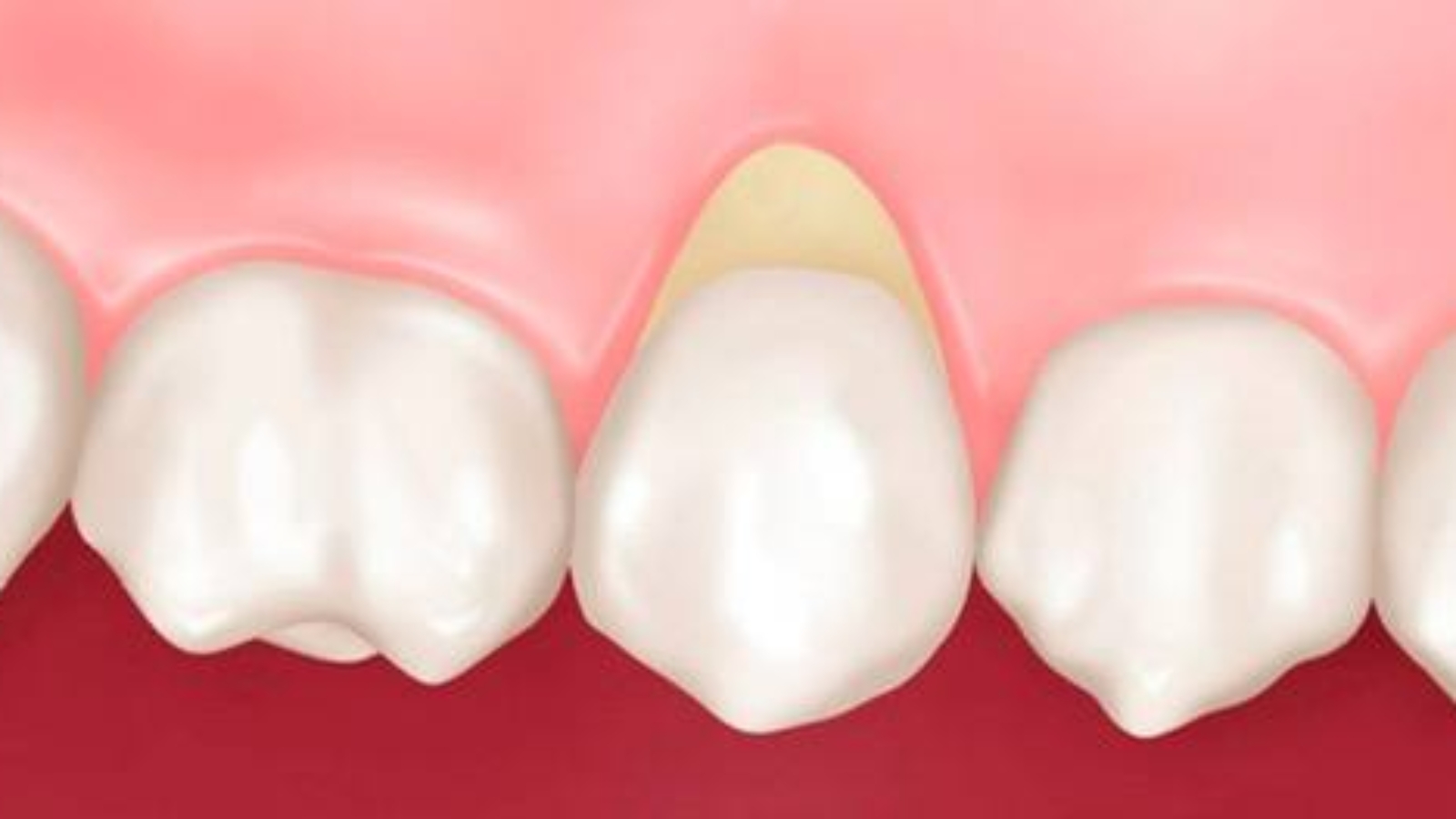 photo_2026-01-16_14-12-22